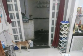 GIÁ MỚI 2.6 TỶ,- P1 GÒ VẤP- NGAY BÌNH THẠNH PHÚ NHUẬN-25M2- 3 TẦNG 2PN 3WC - SỔ MỚI HOÀN CÔNG ĐẦY ĐỦ.