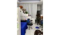 Bán nhà đẹp 1/ hẻm oto Thạch Lam quận Tân Phú 4 x 17- 2 tầng chỉ 5.9 tỷ tl