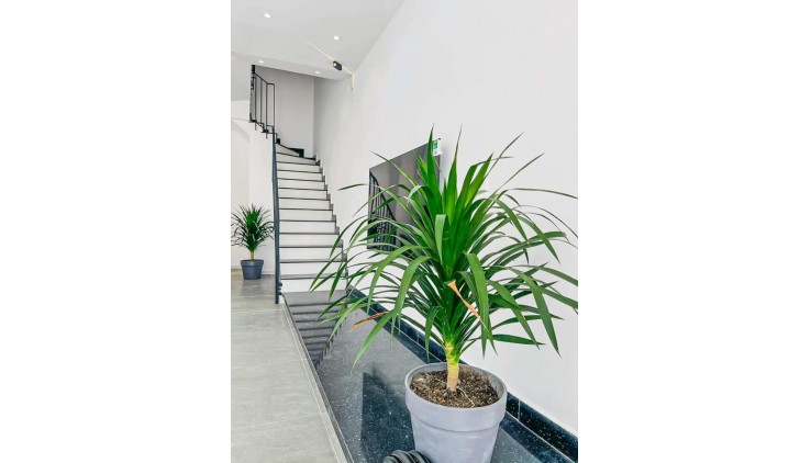 NGANG 5M - NHÀ KHU BÊN SÔNG GIGAMALL THỦ ĐỨC - HXH THÔNG ĐƯỜNG SỐ 25