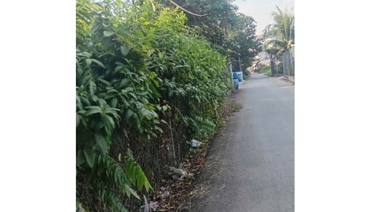 HOT !!! ĐẤT ĐẸP - GIÁ TỐT - Vị Trí Đắc Địa Tại Bình Mỹ Củ Chi. 1/ Tỉnh Lộ 9