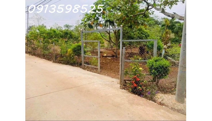 1500m2 giá 300 triệu, nhà chòi nhậu bao mát