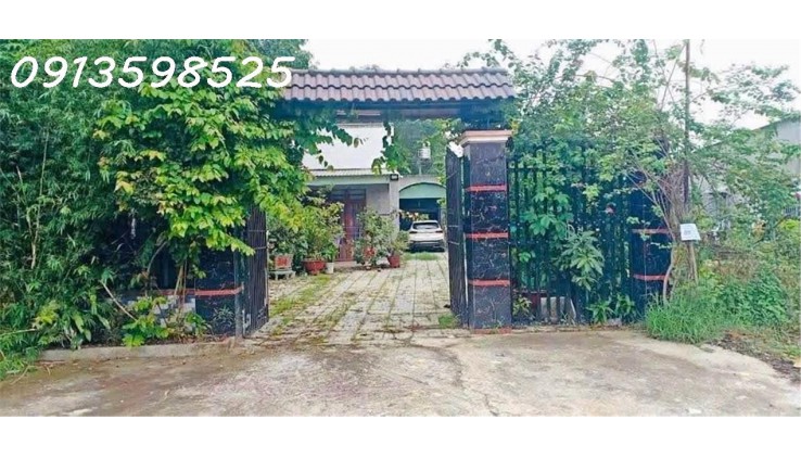 Vỡ nợ cần bán gấp 1500m2 giá 300 triệu, nhà chòi vườn cây trái, đường nhựa 7m