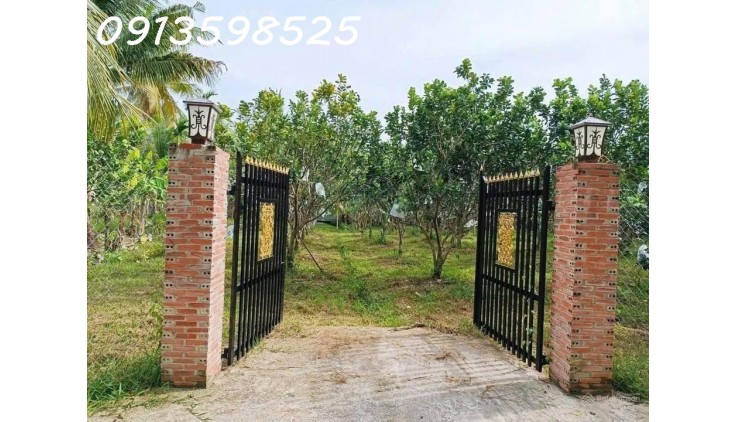 1000m2 nhà vườn sát chợ, đường 12M, đầy đủ điện nước