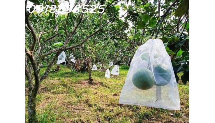 1000m2 nhà vườn sát chợ, đường 12M, đầy đủ điện nước