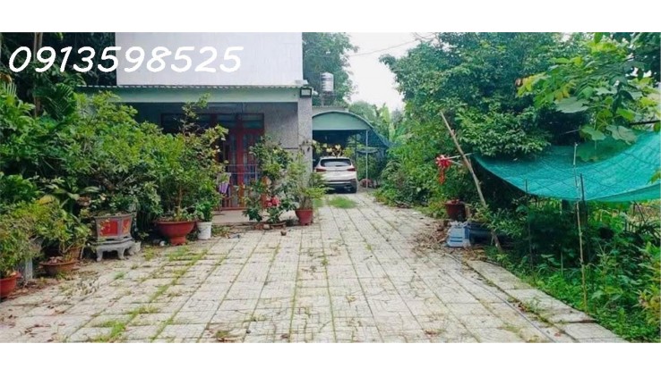 Vỡ nợ cần bán gấp 1500m2 giá 300 triệu, nhà chòi vườn cây trái, đường nhựa 7m