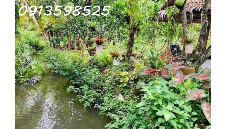 Mua 600 bán rẻ 325tr/1.000m2. LH: 0913.598.525. Chỉ trong tháng này!