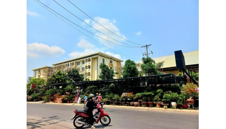 Mặt tiền Phạm Đức Sơn 10x27 dòng tiền 40tr/ tháng chỉ 26 tỷ
