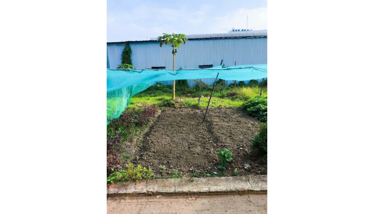 Bán 52m2 đất thổ đường Nguyễn Duy Trinh Quận 9 giá chỉ 2.9 tỷ còn bớt