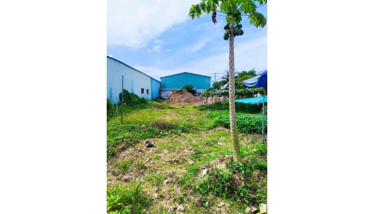 Bán 52m2 đất thổ đường Nguyễn Duy Trinh Quận 9 giá chỉ 2.9 tỷ còn bớt