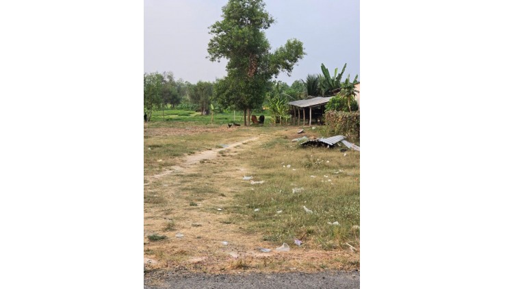 Bán lô đất 7200m2 Mặt tiền Cây gõ, An Phú, Củ chi