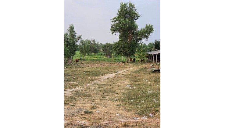 Bán lô đất 7200m2 Mặt tiền Cây gõ, An Phú, Củ chi