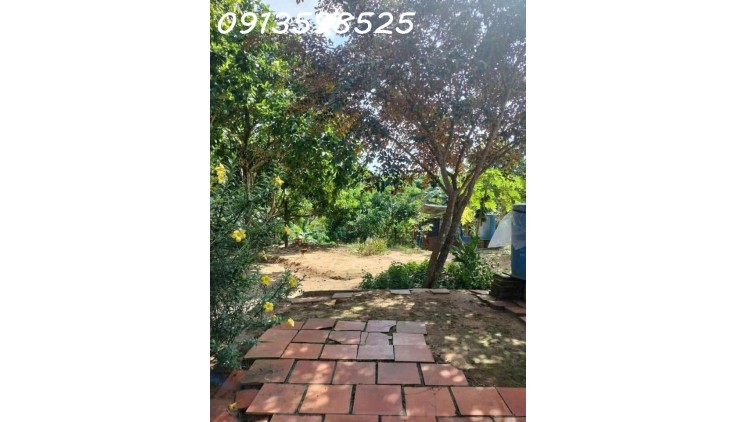 Ngộp thở bán nhà vườn 2500m2, 315 tr, cây trái đầy đủ, 1 nhà nhỏ