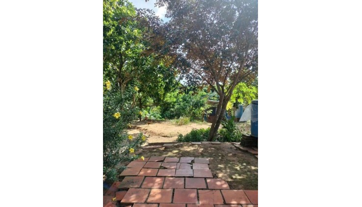 Cần chuyển về SG, bán nhanh lô đất 1500m2, 280 tr, 1 nhà cấp 4