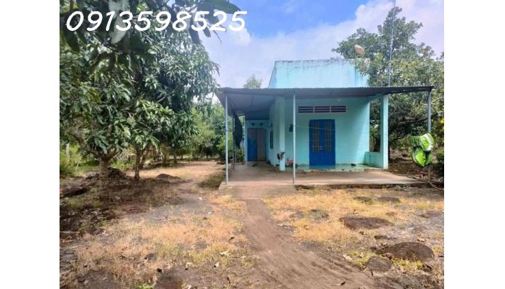 Ngộp thở bán nhà vườn 2500m2, 315 tr, cây trái đầy đủ, 1 nhà nhỏ