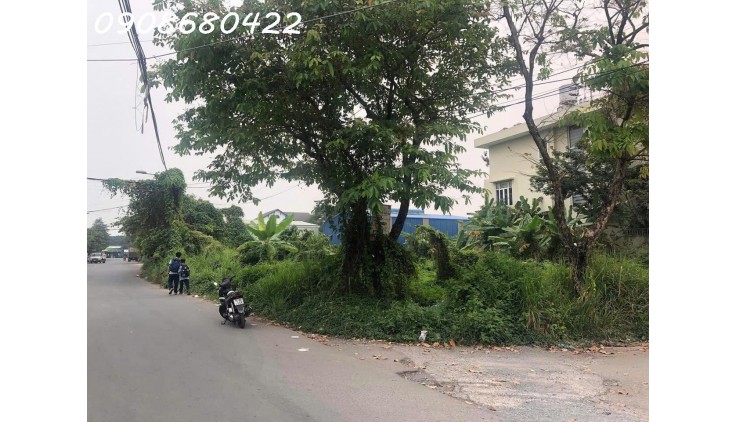Bán Lô Góc Tuyệt Đẹp Đường D6 Kiến Á Gần Đường Liên Phường, Phước Long B