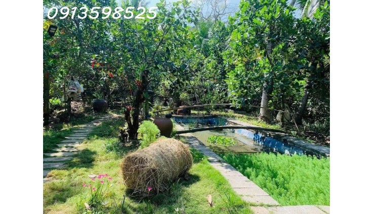 Bán nhà về quê,  1500m2 giá 290 triệu, đường nhựa 7m, nhà Cấp 4