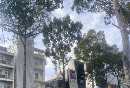***SIÊU HIẾM QUẬN 5_HẺM XE HƠI NGUYỄN TRÃI NGAY NGÃ 4 TRẦN BÌNH TRỌNG