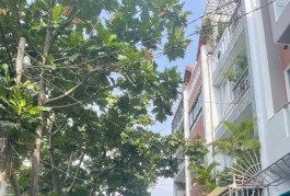 BÁN NHÀ TÂN SƠN, GÒ Vấp, 85M2, GIÁ HỜ, SỔ HỒNG CHÍNH CHỦ Hơn 11 Tỷ