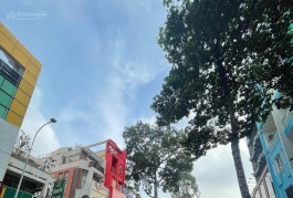 +Bán Gấp Nhà 2 Mặt Tiền Thương Hiệu Thời Trang Nguyễn Trãi 5Tầng(5x12) Nhỉnh 23Tỷ