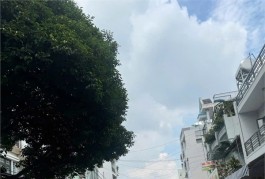 Mặt Tiền Khu Họ Lê, Phú Thọ Hòa, Tân Phú. Nhà 4x19m, 5 Tầng, giá 10.4 tỷ TL