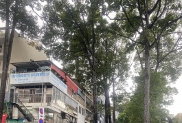 +Nhà Sát MT- Ôtô Ngủ Nhà Ngay An Dương Dương_Nguyễn Tri Phương CN 80m2, 3TầngNhỉnh 14 Tỷ.