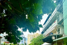 Mặt tiền kinh doanh Phạm Thế Hiển 6x20 chỉ 11 tỷ 9
