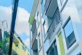 Bán nhà ngay LÊ VĂN SỸ - PHÚ NHUẬN -  4m x 16m - thông HỒ BIỂU CHÁNH