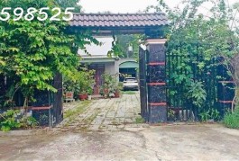 Cần chuyển chỗ ở, bán nhanh lô đất 1500m2, 280 tr, cây trái đầy đủ, 1 nhà cấp 4