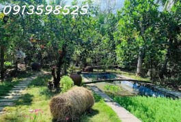 Mua 600 bán rẻ 325tr/1.000m2. LH: 0913.598.525. Chỉ trong tháng này!