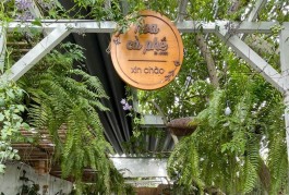 SANG NHƯỢNG QUÁN CÀ PHÊ SÂN VƯỜN KHU SẦM UẤT THỦ ĐỨC