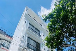 Bán nhà NGUYỄN VĂN ĐẬU - BÌNH THẠNH - 4m x 12m - 7 phòng làm CHDV