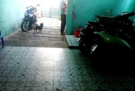 BÁN NHÀ MẶT PHỐ NGUYỄN KIỆM - GÒ VẤP - 16.5 TỶ - 51M2 - 2 TẦNG - SỔ ĐỎ CHÍNH CHỦ