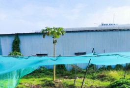 Bán 52m2 đất thổ đường Nguyễn Duy Trinh Quận 9 giá chỉ 2.9 tỷ còn bớt