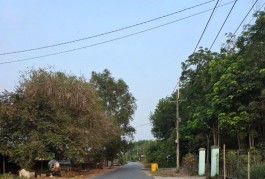 Bán lô đất 7200m2 Mặt tiền Cây gõ, An Phú, Củ chi