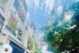 NHÀ BÁN SÁT MẶT TIỀN TRƯƠNG VĨNH KÝ 72M, CHỈ 9 TỶ