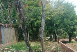 BÁN  ĐẤT THỔ CƯ CẠNH NHÀ THỜ TÂN ĐÔNG GIÁ RẺ (CHỢ GẤU), ĐÔNG THẠNH, HÓC MÔN. LH: 0326507188