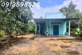 Ngộp thở bán nhà vườn 2500m2, 315 tr, cây trái đầy đủ, 1 nhà nhỏ