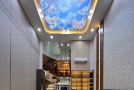Ô tô ngủ trong nhà - nội thất VIP - thang máy xịn sò- gần trườngTHCS Nguyễn Du phường 11 Gò Vấp - Dt 62m x 5t - mt4m - chỉ 9.9 tỉ