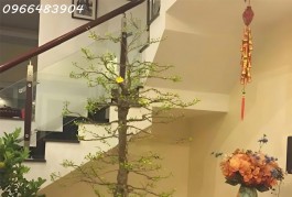 Cho thuê nhà 4 tầng 5pn mặt tiền đường Kdc Him Lam - Hiệp Bình Chánh