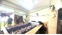 BÁN NHÀ HẺM HIỆP TÂN, TÂN PHÚ - 58M2, 2 TẦNG, 2PN, 5.1 TỶ - SỔ HỒNG CHÍNH CHỦ