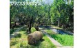 Mua 600 bán rẻ 325tr/1.000m2. LH: 0913.598.525. Chỉ trong tháng này!