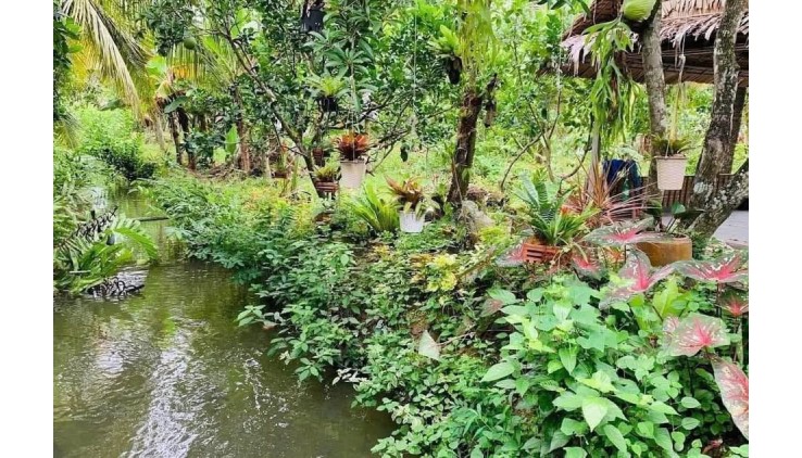 kẹt tiền  bán lỗ 3500 m2. giá 310tr đường 10m, có nhà vườn nhỏ.