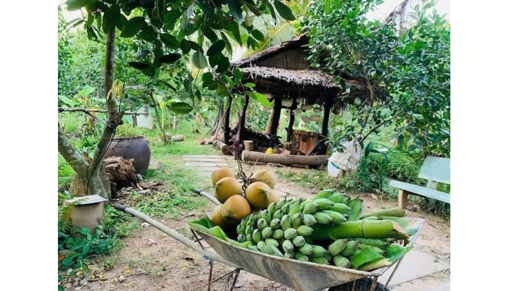 kẹt tiền  bán lỗ 3500 m2. giá 310tr đường 10m, có nhà vườn nhỏ.