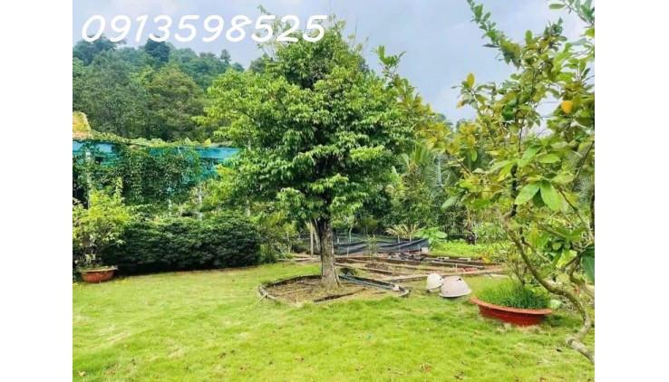 Nhà vườn nghỉ dưỡng 1500M2 bán đủ 290TR, có nhà vườn cây trái Sổ Sẵn lh: 0913598525