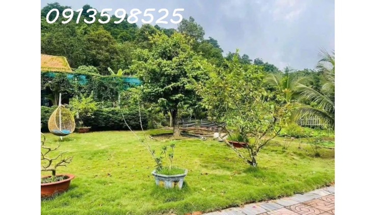 Nhà vườn nghỉ dưỡng 1500M2 bán đủ 290TR, có nhà vườn cây trái Sổ Sẵn lh: 0913598525