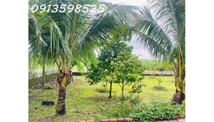 Nhà vườn nghỉ dưỡng 1500M2 bán đủ 290TR, có nhà vườn cây trái Sổ Sẵn lh: 0913598525