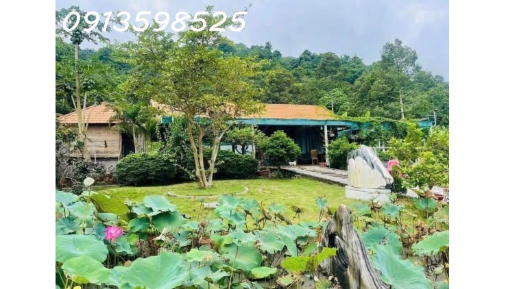 Nhà vườn nghỉ dưỡng 1500M2 bán đủ 290TR, có nhà vườn cây trái Sổ Sẵn lh: 0913598525