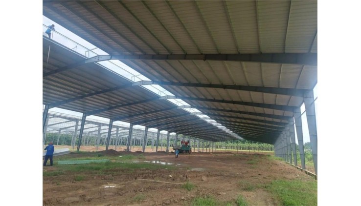 XT291 nhà xưởng sản xuất thu hút nhiều ngành nghề, mật độ dân cư đông dễ tuyển LDPT