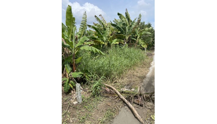 Cần bán gấp đất nền tại KV 4, TP Vị Thanh, tỉnh Hậu Giang (gần cầu Chín Tiền, quốc lộ 61C), Giá 430 triệu