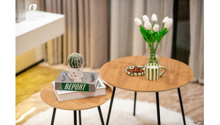 SỞ HỮU CĂN HỘ CITIGRAND – ĐÓN TẾT AN KHANG, KHỞI SẮC THỊNH VƯỢNG